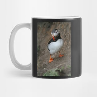 Quizzical Puffin Mug